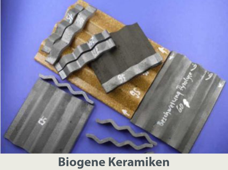 Biogene Keramiken