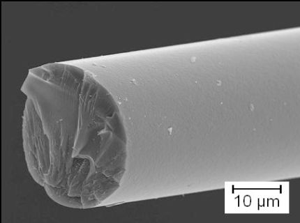 SiCN-Monofilament